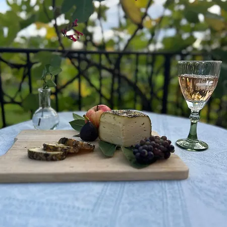 La Vigne Et Le Chardon 住宿加早餐酒店