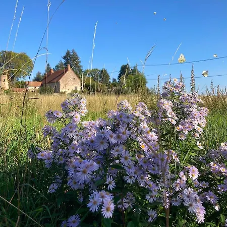 B&B La Vigne Et Le Chardon Barrais-Bussolles