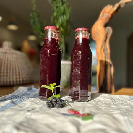 La Vigne Et Le Chardon B&B Barrais-Bussolles