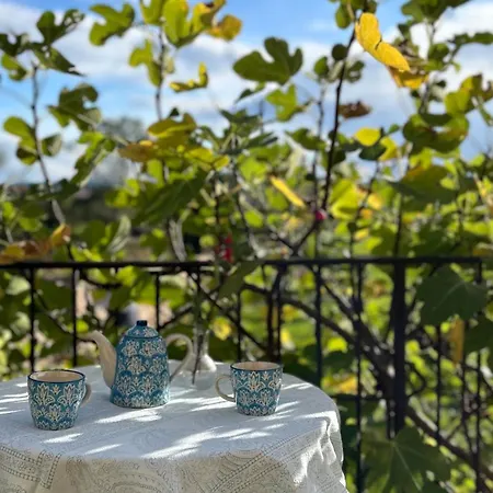La Vigne Et Le Chardon 住宿加早餐酒店 Barrais-Bussolles