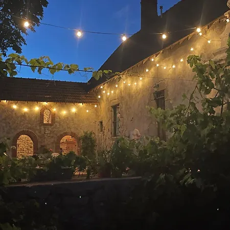 La Vigne Et Le Chardon ベッド・アンド・ブレックファスト *